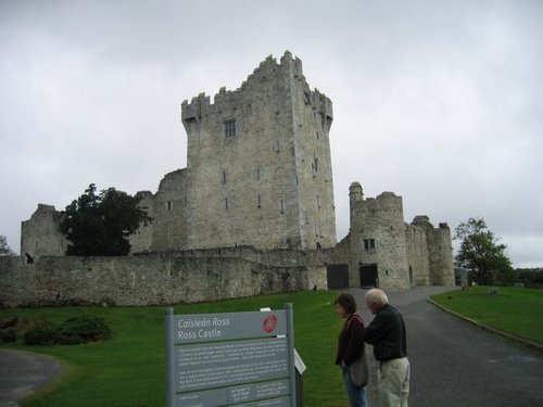 TeresaTaj's profile picture. 