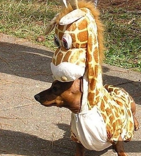 rosemary3923's profile picture. 하고 싶은 것 많은 20대/동물사랑하는 녀자/프라다유저 완전 사랑/뷰티/패션/캬라멜마끼아또/여행/독서