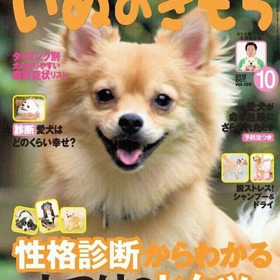 きのこ しめじ Zipvo Ov Twitter