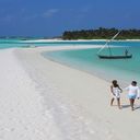 Brian Petrie - @PetrieBrian - Twitter