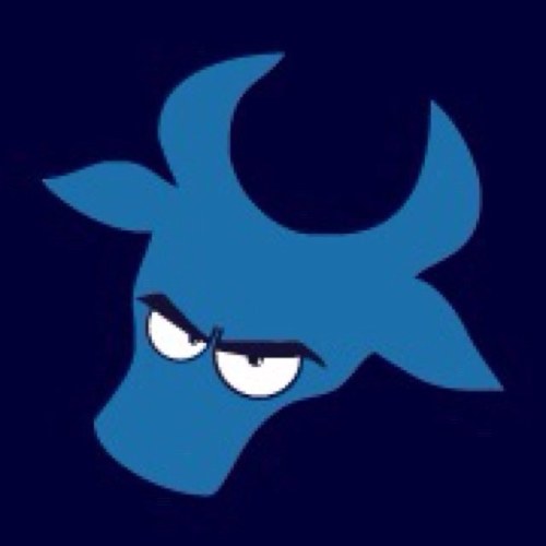 Brumdisc's profile picture. Ultimate team based in Birmingham, UK!