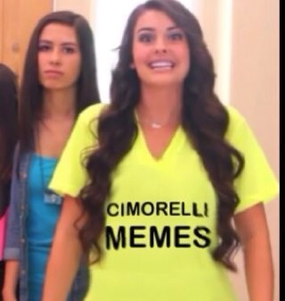 Memes: A catchphrase or concept that spreads quickly from person to person via the Internet. 
Add Cimorelli, what have you got? CimorelliMemes