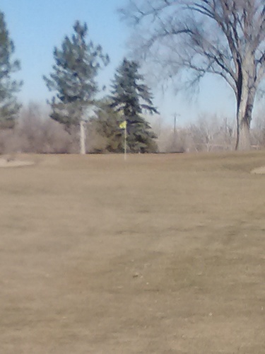 RealGolflife's profile picture. anywhere the pins are hard, and the rough is thick