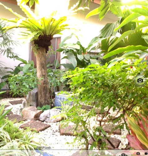 chantravadi's profile picture. over60 hospitality addict