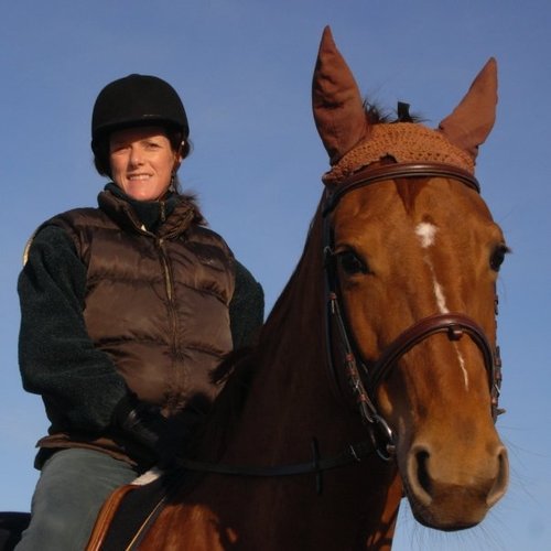 Statsveterinär häst, SVA. Projekt: Kvarka, hästinfluensa, polyneuropati, EHV-1, sjuka föl. Kunskapssajten HästSverige. Akuta frågor: SVA 018-674000