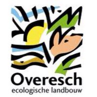 Overesch (@overesch_eko) 's Twitter Profile