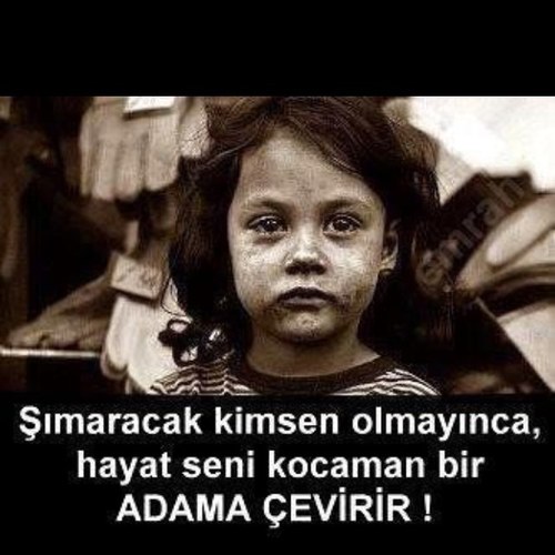 ferhat7680's profile picture. 