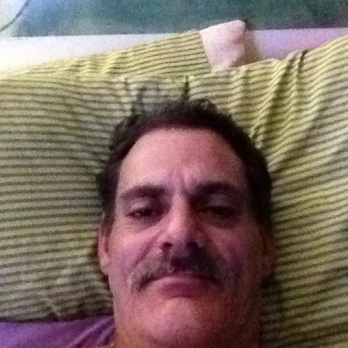 bulldog30235791's profile picture. 