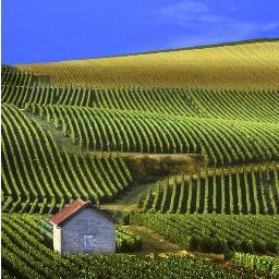 #Incubator #lifestyle #artdevivre #dolcevita #wineyards #wine #food #travel #tourism