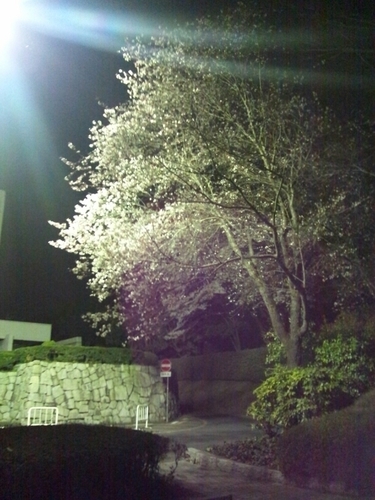 slowlifeme's profile picture. 