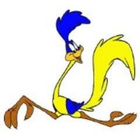 SD Road Runners (@sdroadrunners) 's Twitter Profile