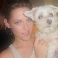 sierra stewth  (@stewth) Twitter profile photo
