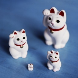 toshiさんのプロフィール画像