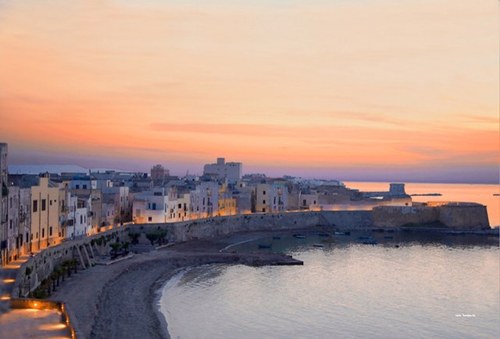 antpom's profile picture. 