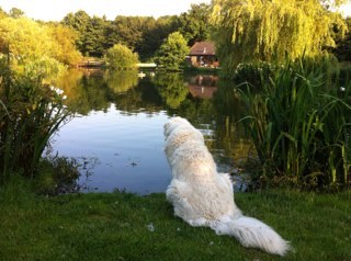 Moorhen Trout Fishery is set in the beautiful and renowned surroundings of the Meon Valley in Hampshire. The 3.5 acre lake is stocked with trout from 2.5-10+