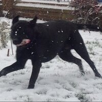 roger debman (@printer8) 's Twitter Profile