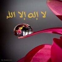 Jawaher Almulhim (@dl3ddl3) Twitter profile photo