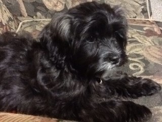 rowede's profile picture. 