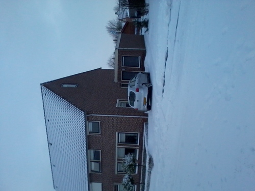 bdvaate's profile picture. 