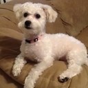 grace bower - @BowerGrace - Twitter