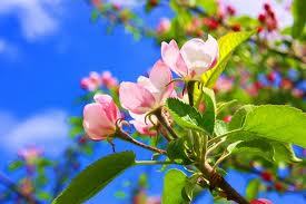 can_ktivsel's profile picture. これからも世間の荒波にもまれて生きていくみたいです(´･ω･｀)