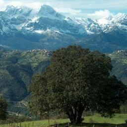 enclle_toto's profile picture. 