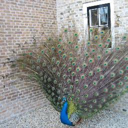 Galerielijn3's profile picture. 