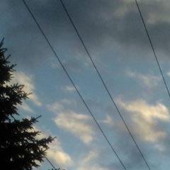 elizabe90445571's profile picture. 