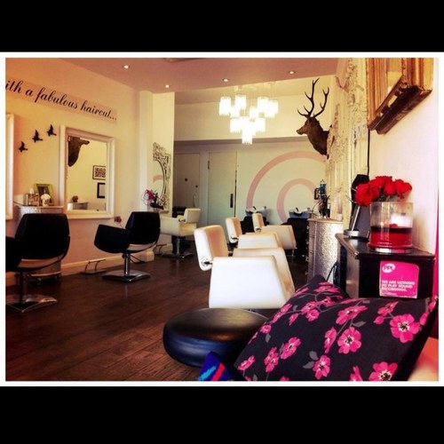 HairHalo's profile picture. Professional hair salon