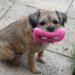 Born Sept 2002 but had to leave my wonderful life & my dear BTPosse pals on 31.3.16. Remember me and smile & please look after my baby brofur ErnieTiddlypom