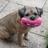 ArchieTiddlypom's profile image
