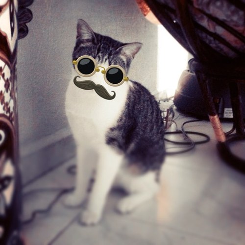 _AngelicaDS's profile picture. http://t.co/pV2ZTW3N