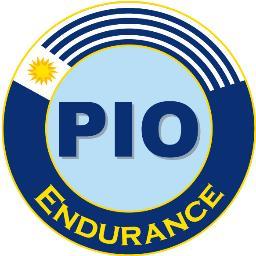 pioendurance's profile picture. Endurance Horses for Sale 
Qualified Horses in 160km, 120km and 80km FEI 
Pure Arabs -  Anglo Arabs
Breeding Farm located in South America