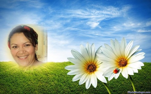 padisjaraba's profile picture. 