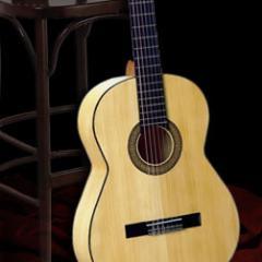 Músico, Arreglista, Compositor e Intérprete de Guitarra Clásica, Amante de la Música Académica, los Animales y la Justicia.