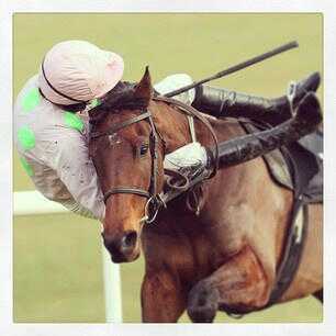supporting irish horse racing