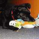 Brenda Jean Mayne - @mizoldbag - Twitter