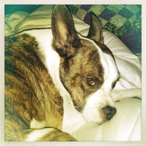 BettyLipton's profile picture. 