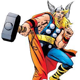 Professional Viking