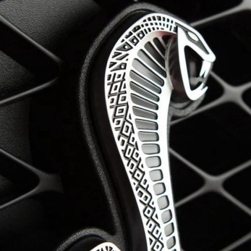 FlowerGgrow's profile picture. 