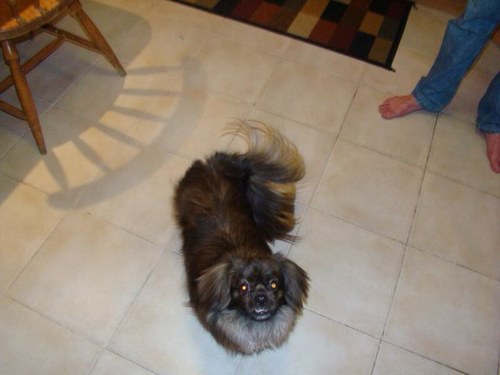 JawabrehR's profile picture. 