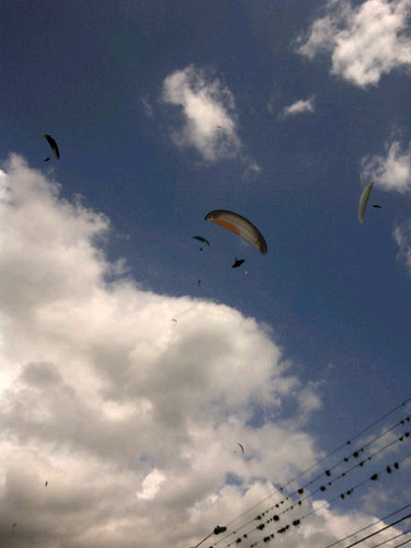 hivanlozano's profile picture. 