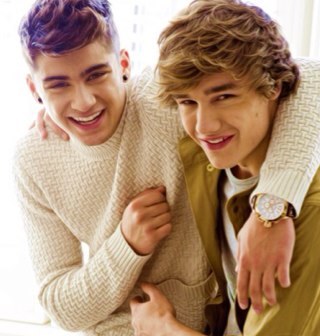 I am a huge one direction fan so any other 1D fans out there Follow me ;) A follow back for sure :D