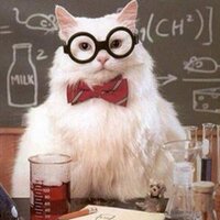 CrazyCat (@purpledna1993) 's Twitter Profile Photo