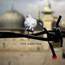 هدهد - @love__hope_fear - Twitter