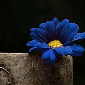 otbAzh's profile picture. 