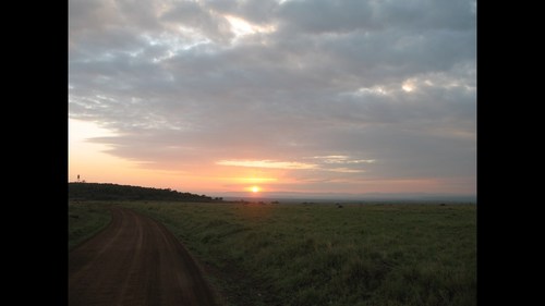 Masai65's profile picture. 