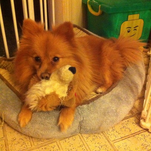 Storme3765's profile picture. 