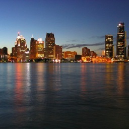 detroittl's profile picture. 