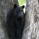 Matt Bushnell - @mbush9 - Twitter